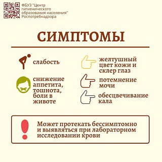 Вирусный гепатит е осложнения. Вирусный гепатит е механизм передачи. Гепатит е клинические проявления. Гепатит е симптомы. Осложнения вирусных гепатитов.