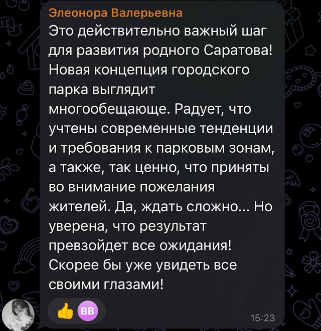 Саратовцы обсуждают концепцию развития Городского парка