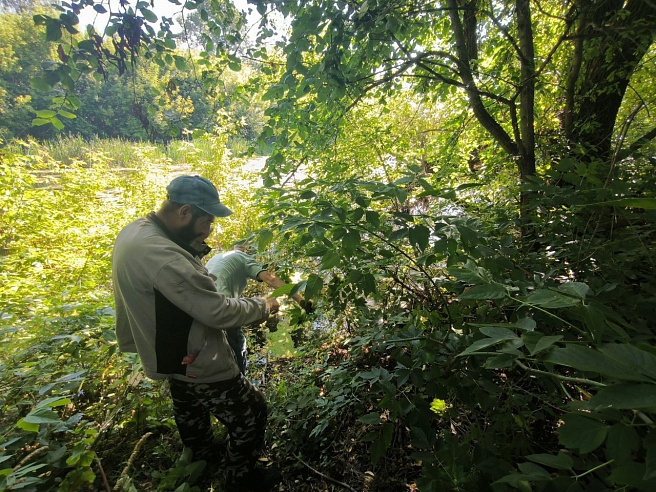 Петровская администрация опровергла сброс стоков в Медведицу, но признала износ сетей