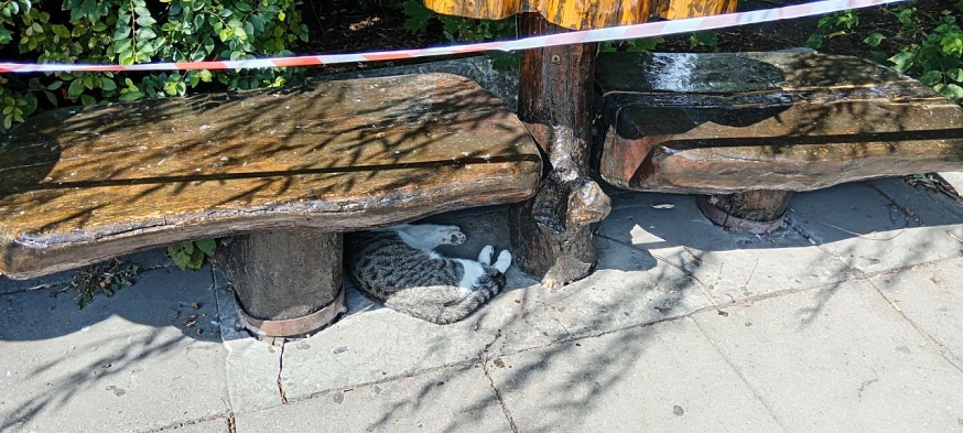 Аттракционы городского парка могут демонтировать принудительно 