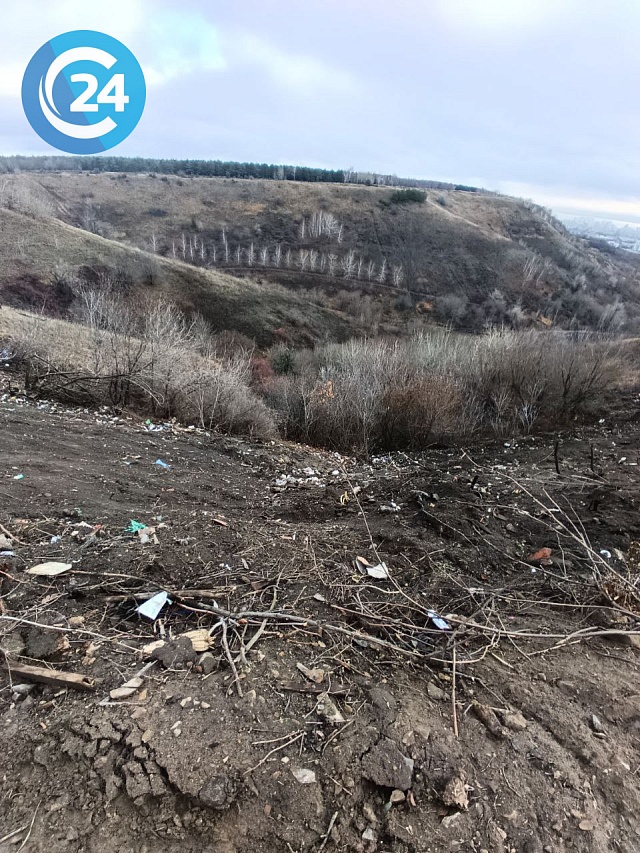 В Саратове начали расчищать Лысую гору от мусора