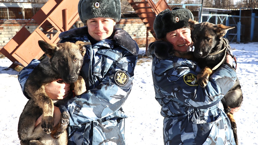 Саратовские щенки отправились в Иваново и Астрахань