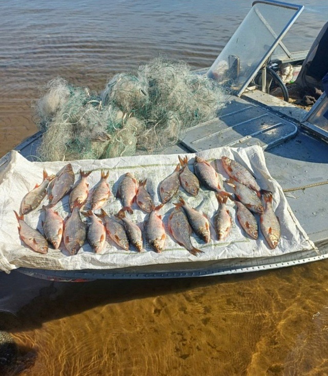 В Саратовской области рыбоохранный патруль конфисковал более 200 кг рыбы у браконьеров