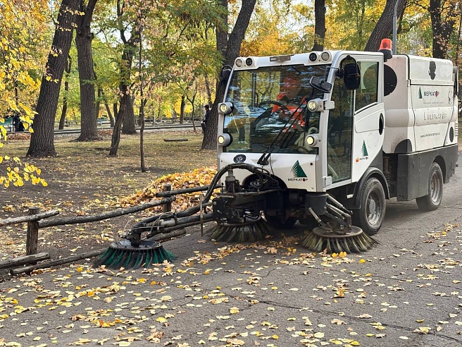 Более шести тысяч жителей Саратова приняли участие в общегородском субботнике