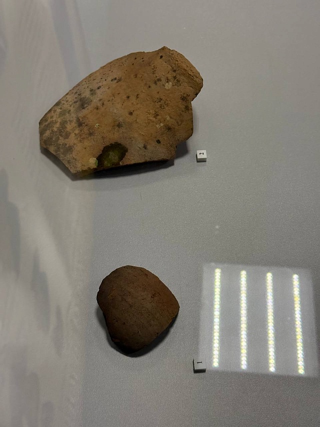 Саратовские археологи обнаружили средневековый базар