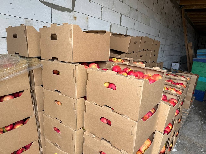 Бывший банкир из Саратова покоряет рынок сочными яблоками