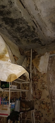 Престарелая женщина из Шихан живет в квартире с протекающими потолками и замерзающими трубами
