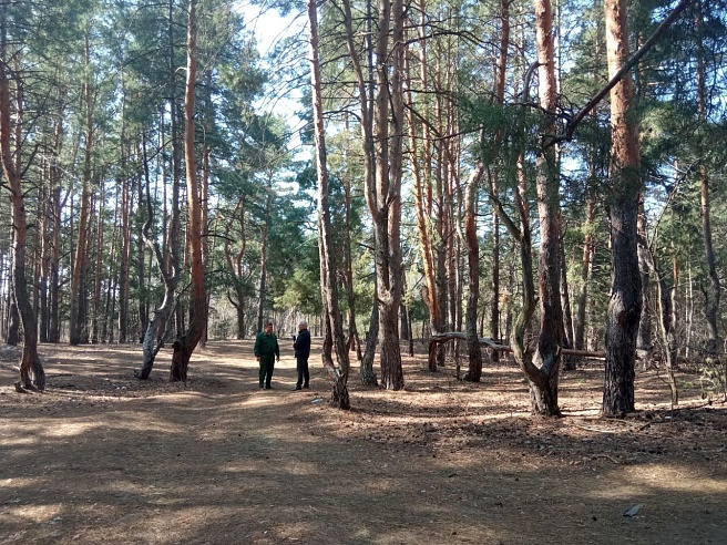 За нарушения противопожарного режима саратовцев оштрафовали на 820 тысяч рублей