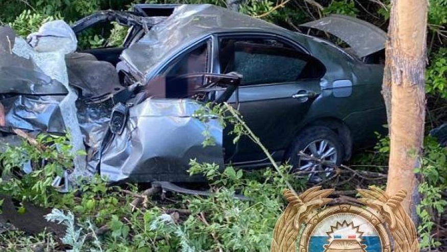 Под Екатериновкой пострадал водитель влетевшего в дерево "Лифана"