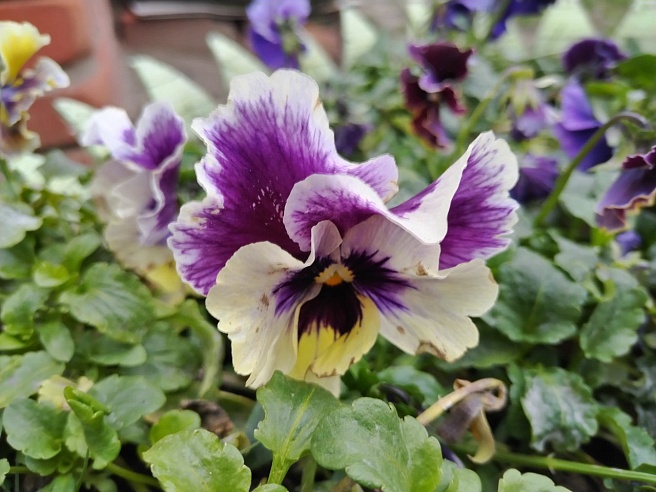 Саратовцы делятся фотографиями "зимнего" урожая