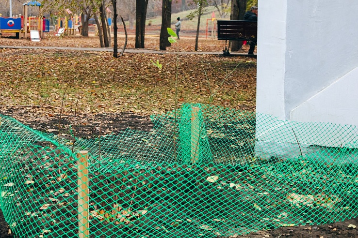 В сквере "Территория детства" высадили новые кустарники