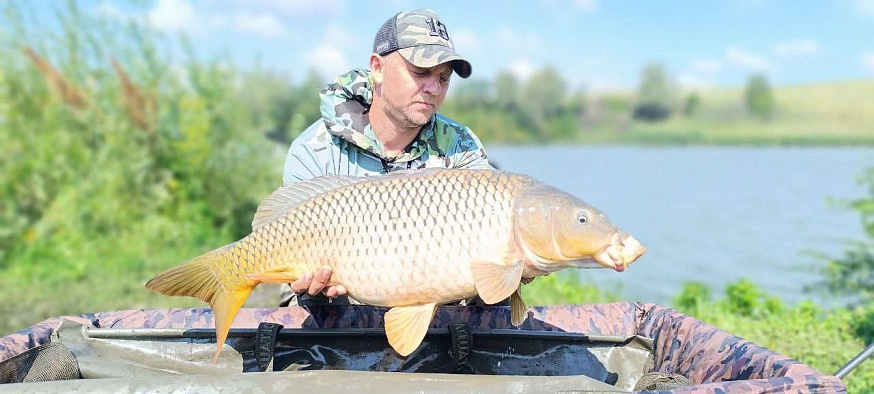 Аткарчане поймали на турнире по спортивной рыбаке 13-килограммового карпа