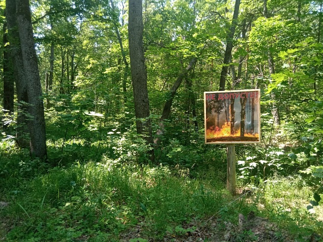 Нарушителей противопожарного режима в Саратовской области оштрафовали почти на миллион рублей