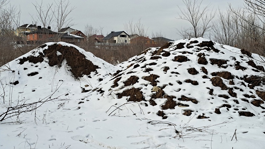Саратовский 200-летний дуб-великан завалили мусором
