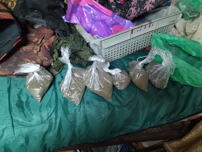 В Саратове мужчина "запас" на зиму 1,5 килограмма каннабиса