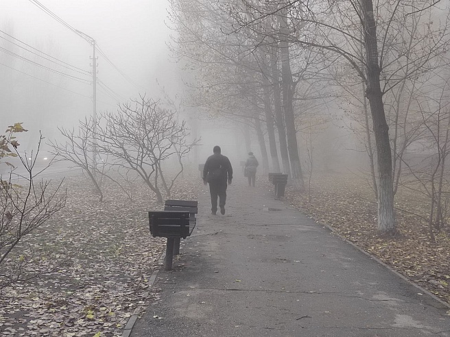 Первый ноябрьский день в Саратовской области будет дождливым