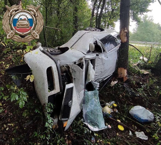 В Саратовской области мужчина скончался после наезда на дерево