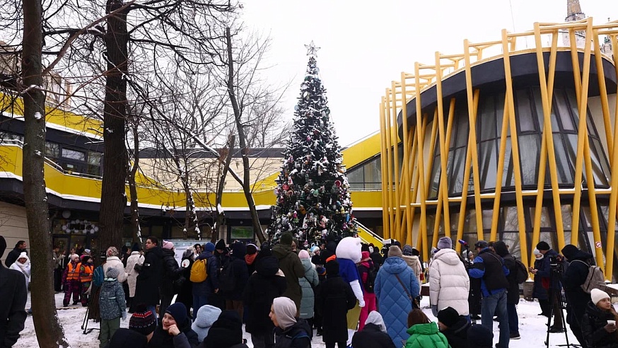 Главную экоёлку России открыли в Московском зоопарке