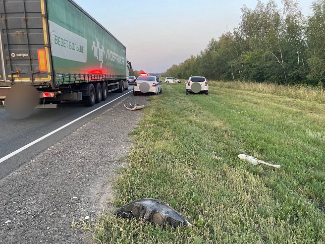 В аварии под Саратовом погибли двое детей и женщина