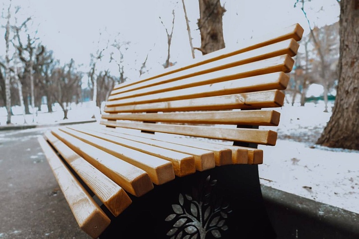 В Городском парке Саратова появился свет