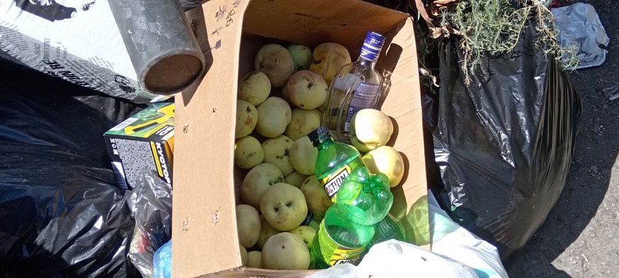 Саратовцы жалуются на крыс