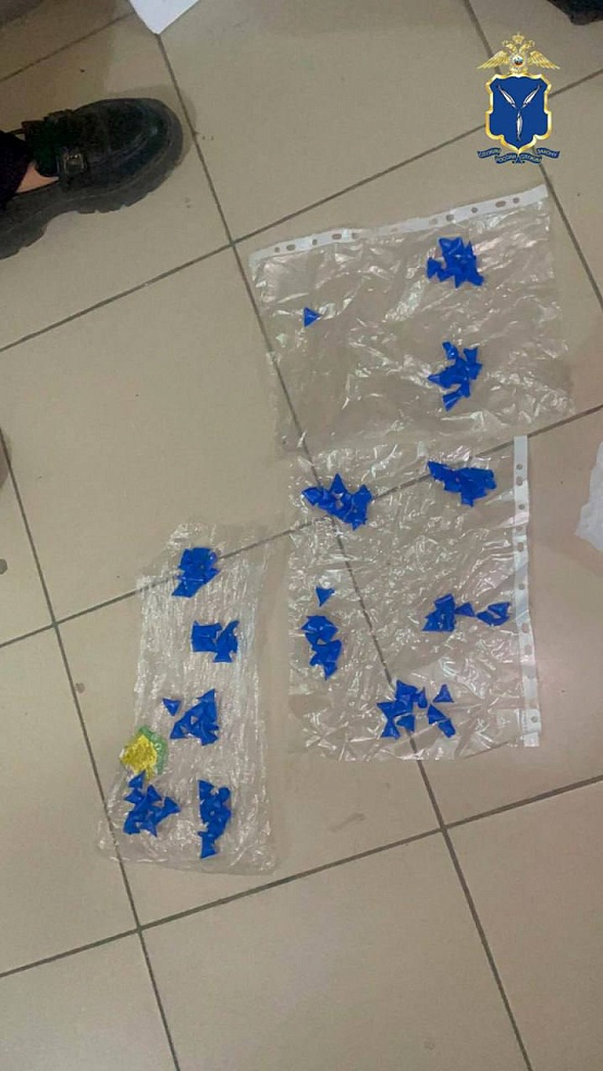 В Саратове иностранке-закладчице грозит до 15 лет тюрьмы