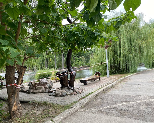 Саратовцы обеспокоены гибелью рыбы в прудах Горпарка