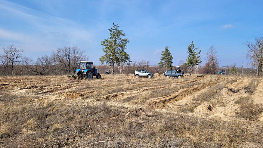 В Саратовской области ранняя весна позволила начать высаживать новые леса уже в марте
