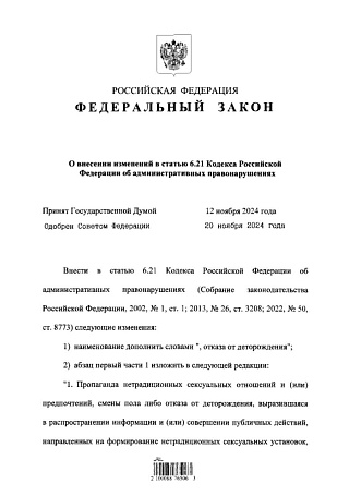 В России запретили пропаганду отказа от деторождения