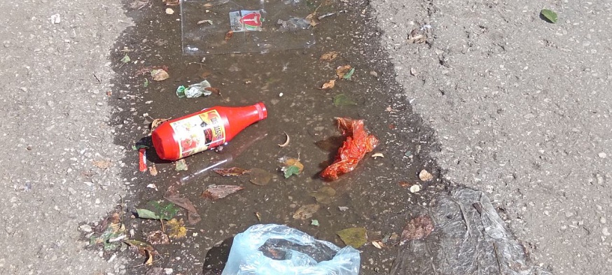 Саратовцы жалуются на крыс