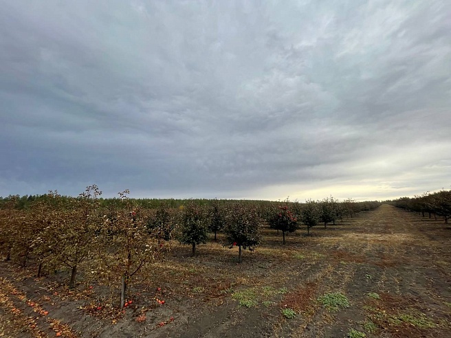 В Петровском районе обсуждают запуск производства яблочного сока