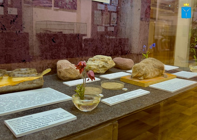 Саратовский музей зовет жителей и гостей города на настолки