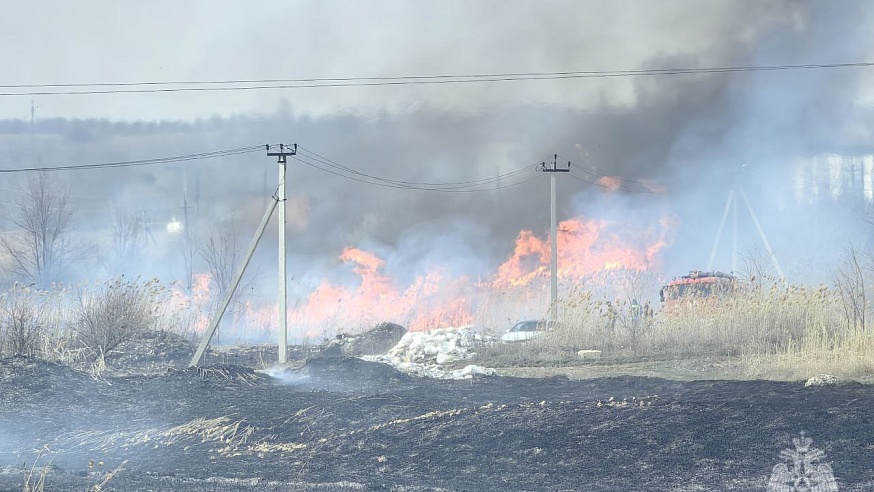 В Ленинском районе горели три гектара сухой травы и камыша