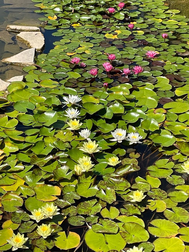 Вячеслав Володин поделился историей возрождения Иоанновского монастыря в Хвалынском районе