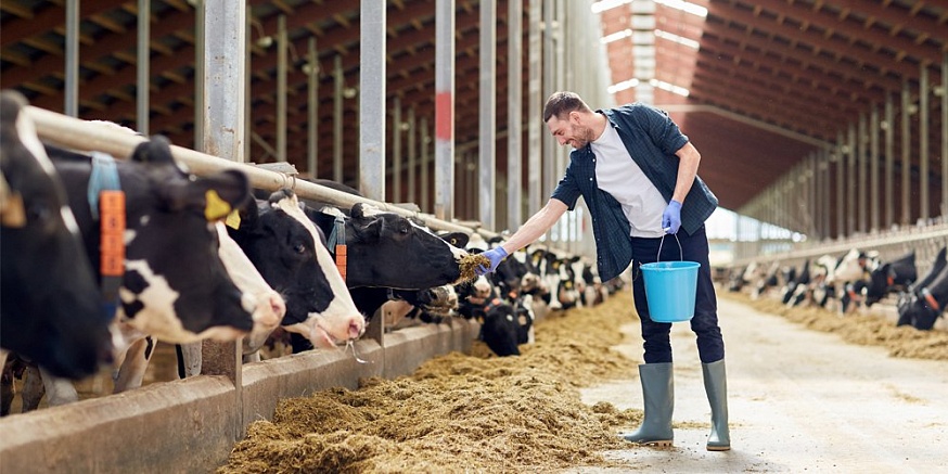 Россельхозбанк выделил саратовским аграриям 12 млрд рублей