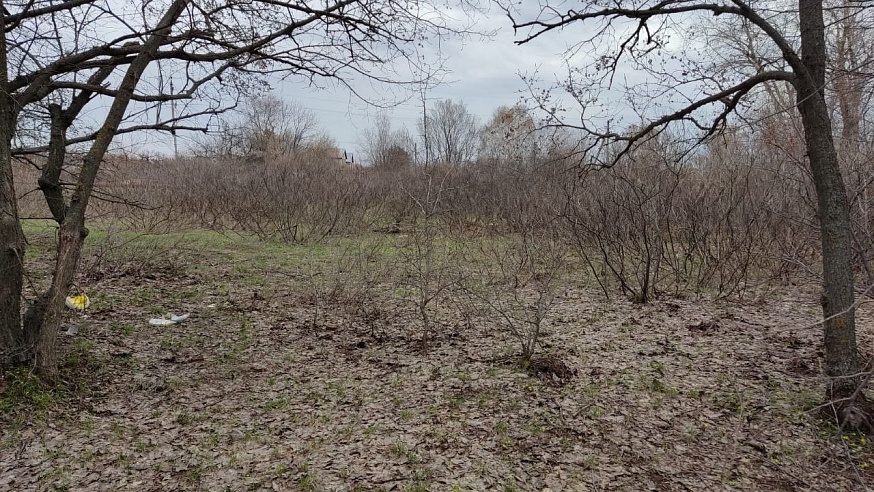 Саратовский землевладелец отверг обвинения дачников в нарушении природоохранного законодательства