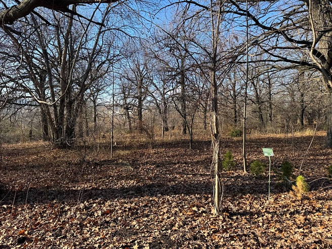 Почти три тысячи саратовцев посетили обновленный Ботсад СГУ