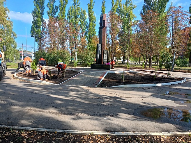 В Балакове неизвестные украли туи возле Мемориала погибшим героям