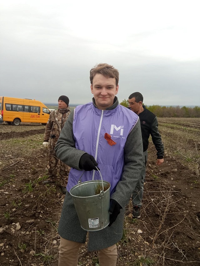 С начала года в Саратовской области высажено порядка 12 миллионов деревьев