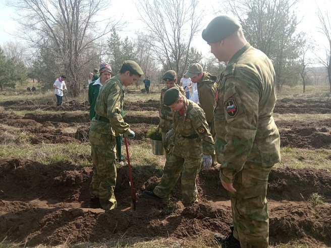 Саратовская область возглавила всероссийский рейтинг по высадке деревьев