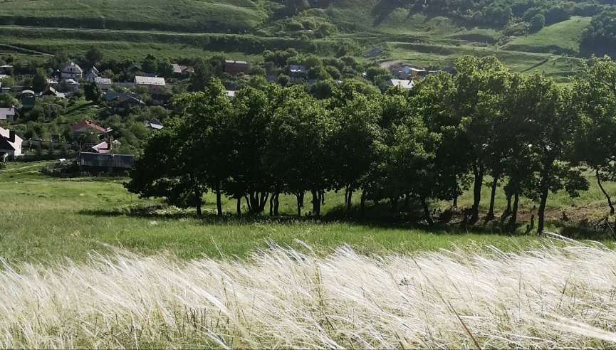 В Саратовской области предложили расширить список военнослужащих, имеющих право на бесплатные земельные участки
