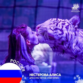 В Саратовском цирке проходит открытие Международного фестиваля