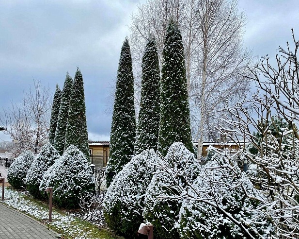 Володин поделился снимками заснеженного Иоанновского монастыря под Саратовом