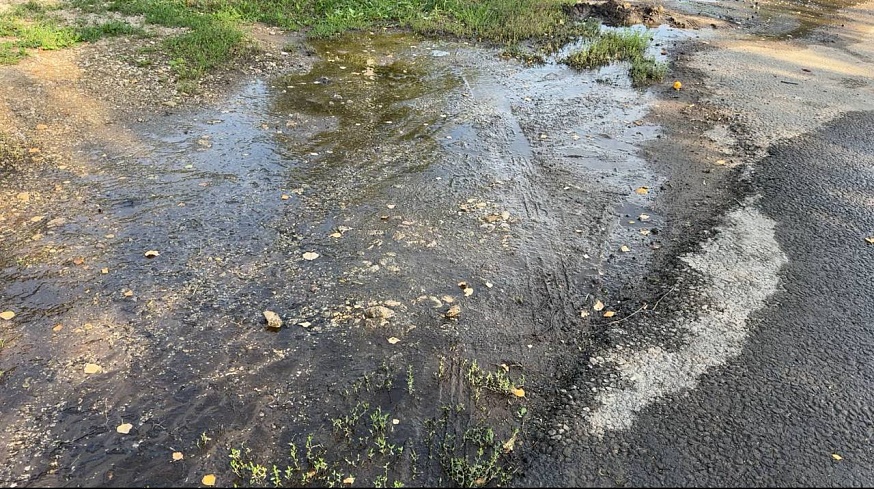 Улица Агрономическая в Саратове две недели тонет в воде: коммунальщики не могут найти порыв