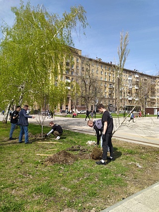 В Саратове появятся 420 деревьев и 850 кустарников за весну