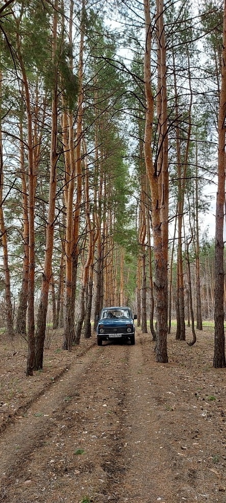 За нарушения противопожарного режима саратовцев оштрафовали на 820 тысяч рублей