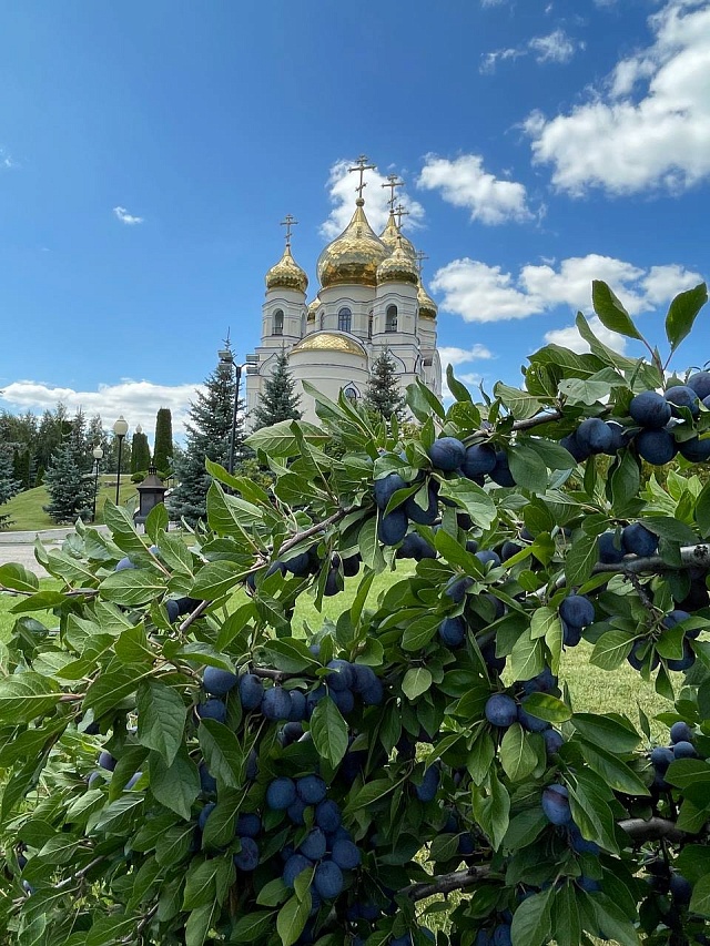 Вячеслав Володин поделился историей возрождения Иоанновского монастыря в Хвалынском районе