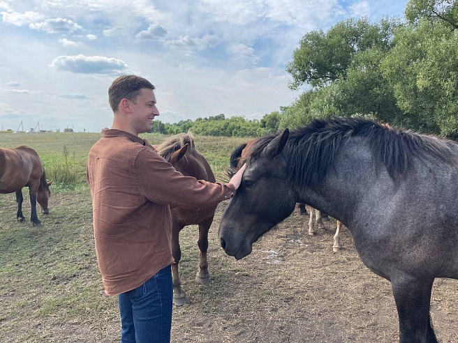 Самый умный конь-тяжеловоз Саратовской области живет под Петровском