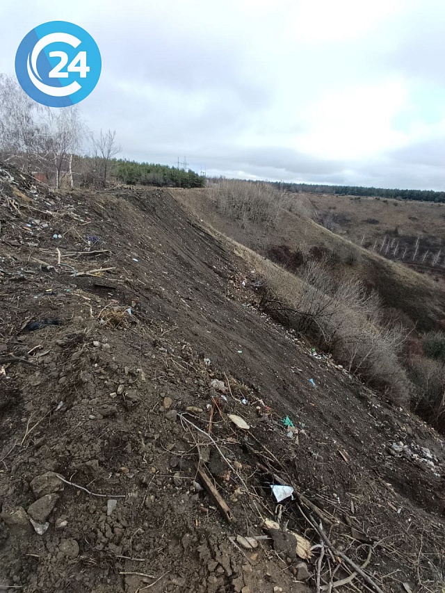 В Саратове начали расчищать Лысую гору от мусора