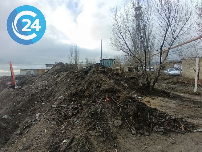 В Саратове начали расчищать Лысую гору от мусора